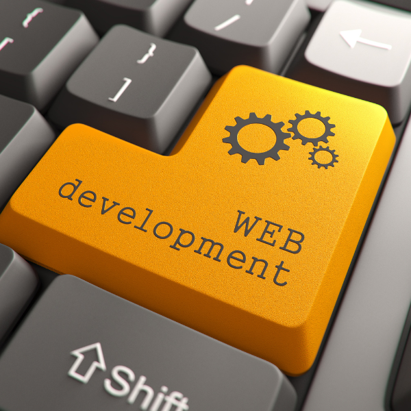 Elevating Your Business with Professional Web Development Services in Dubai